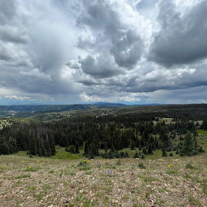 Meet your Posher, Andres